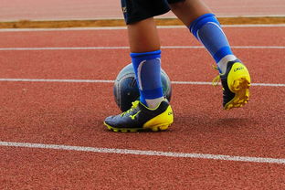 开云体育娱乐-明星球员带动体育产业发展，打造体育明星的弊端